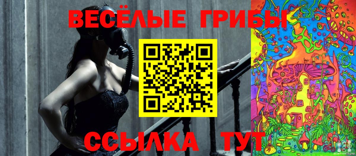 Псилоцибиновые грибы Psilocybe  Галлюциногенные грибы MAGIC MUSHROOMS  Зерноград  где можно купить наркотик  Вход с VPN 