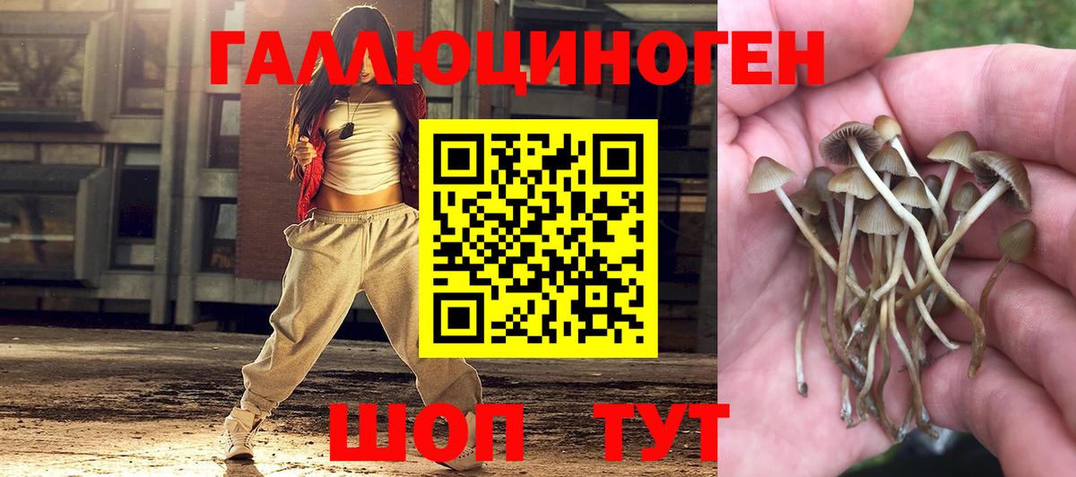 Псилоцибиновые грибы прущие грибы Зерноград